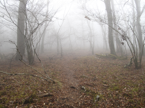 20181205hike (64)